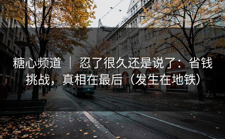 糖心频道 ｜ 忍了很久还是说了：省钱挑战，真相在最后（发生在地铁）
